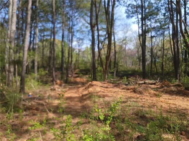 0 Calhoun Rd NE, Rome, GA 30161