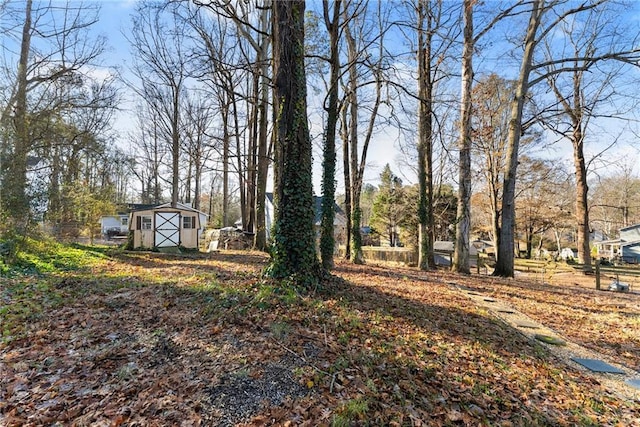 view of yard featuring a storage shed