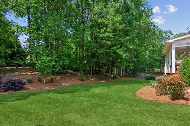 view of yard