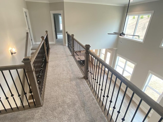 corridor featuring a high ceiling, carpet, an upstairs landing, and crown molding