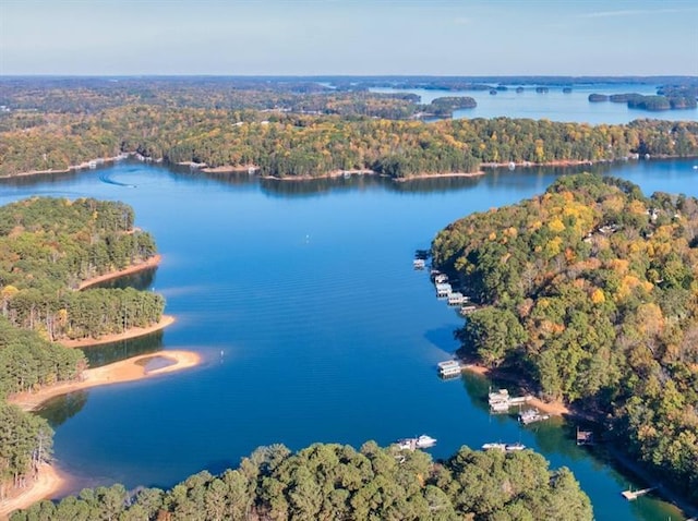 bird's eye view featuring a water view and a view of trees