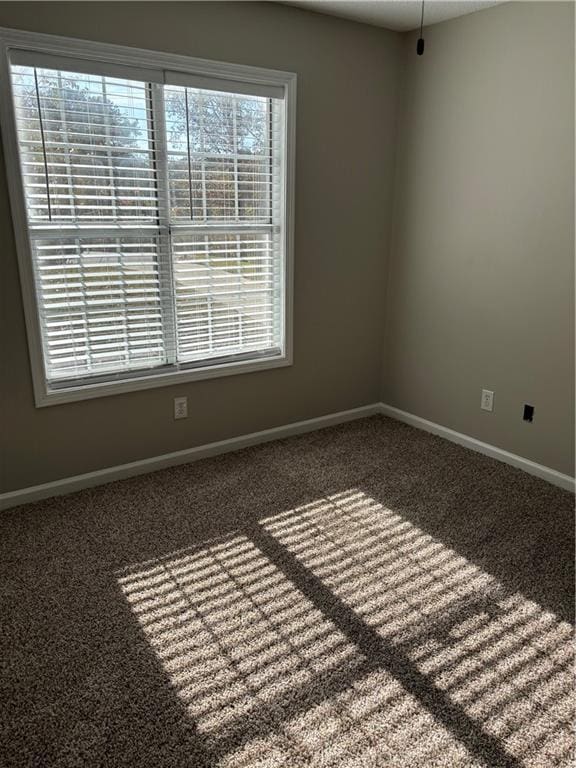 unfurnished room featuring a healthy amount of sunlight and carpet floors