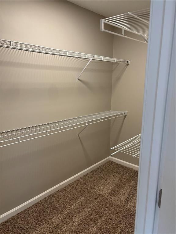 walk in closet featuring carpet flooring