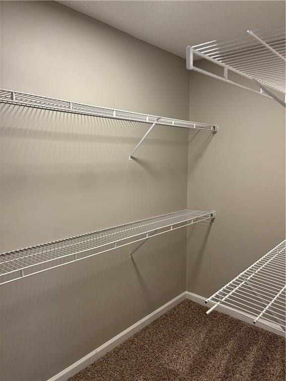 spacious closet featuring carpet flooring