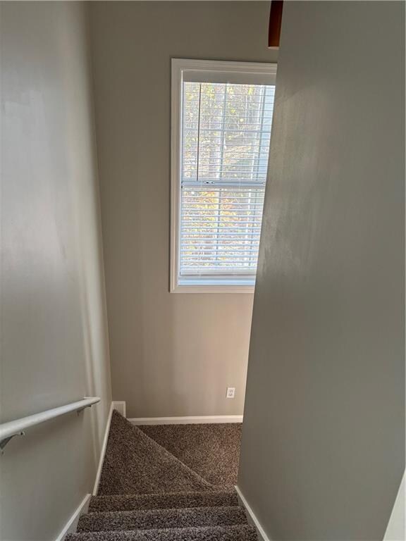 stairway featuring carpet floors