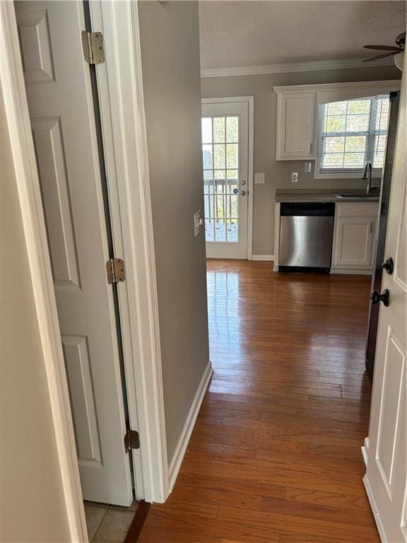 hall featuring a wealth of natural light, sink, wood-type flooring, and ornamental molding