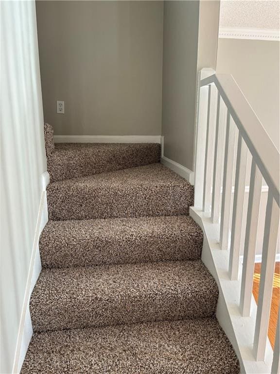 staircase featuring carpet floors