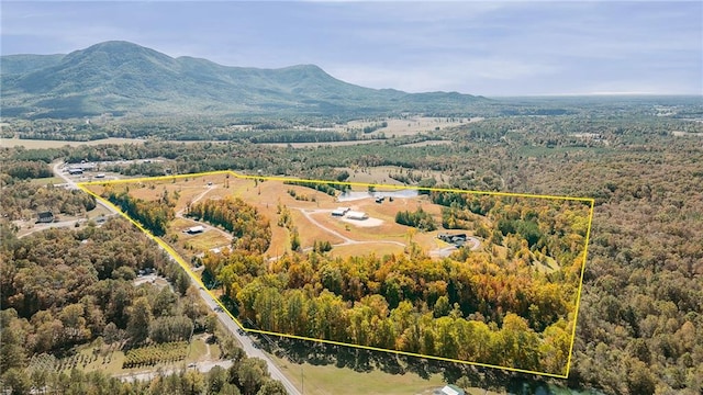 aerial view featuring a mountain view