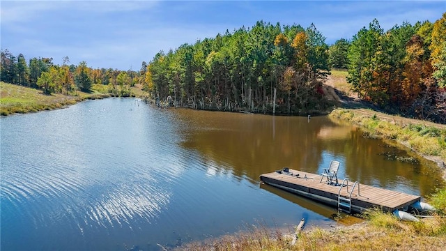 view of dock with a water view