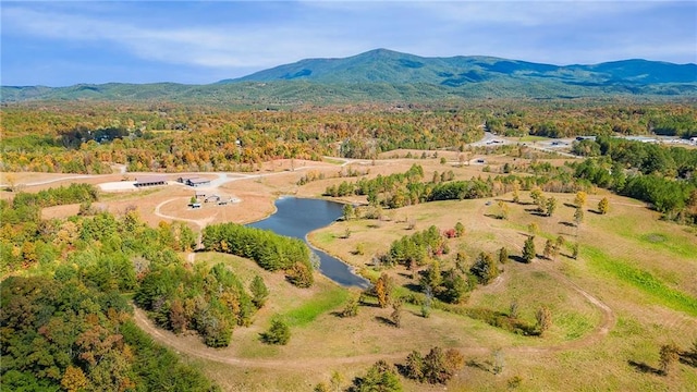 birds eye view of property featuring a water and mountain view