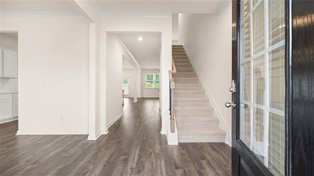 foyer entrance with ornamental molding and dark hardwood / wood-style floors