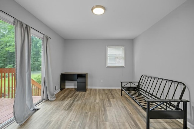 living area featuring wood-type flooring