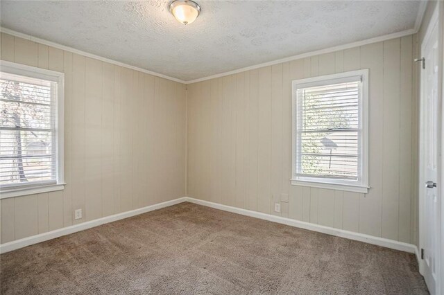 empty room featuring baseboards, plenty of natural light, carpet, and a textured ceiling