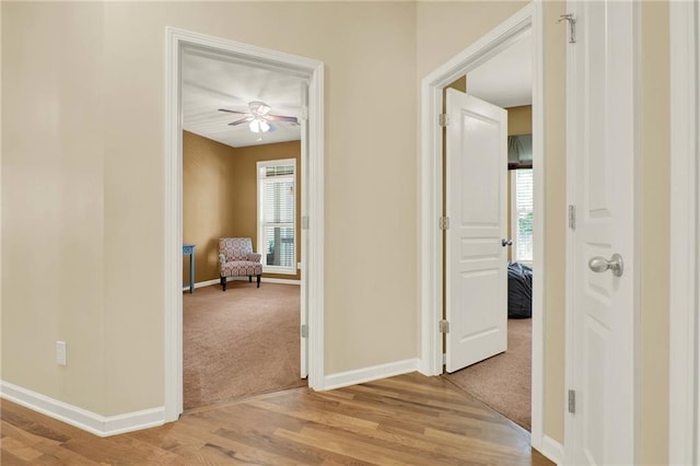 34 Laurel Way NE, White, GA 30184 - hall featuring baseboards, healthy amount of natural light, and light carpet
