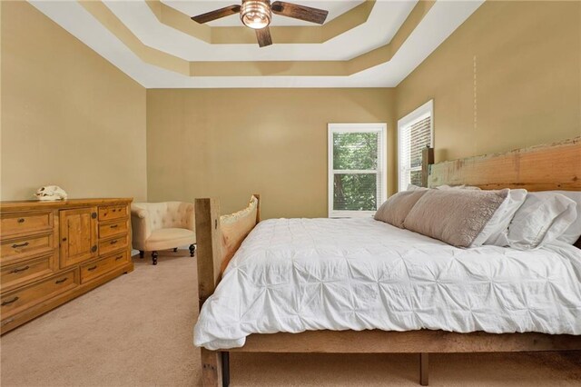 34 Laurel Way NE, White, GA 30184 - bedroom featuring light carpet, a raised ceiling, and ceiling fan