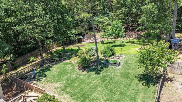 34 Laurel Way NE, White, GA 30184 - view of yard with a vegetable garden