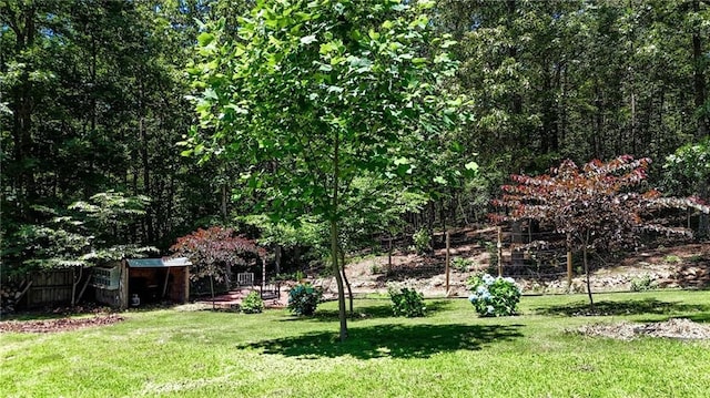 34 Laurel Way NE, White, GA 30184 - view of yard