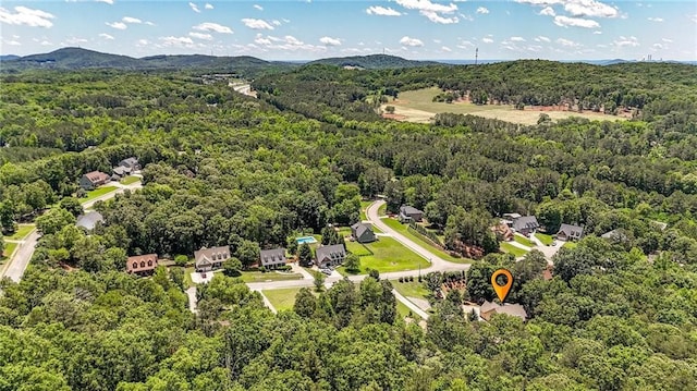 34 Laurel Way NE, White, GA 30184 - bird's eye view of a heavily wooded area