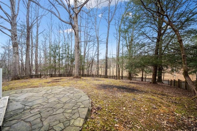 view of yard featuring a patio