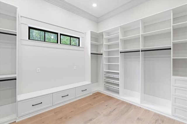 walk in closet with light wood-type flooring