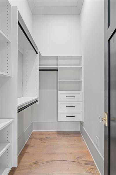 spacious closet with light hardwood / wood-style flooring