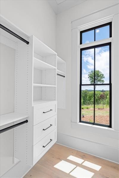 spacious closet with light hardwood / wood-style flooring