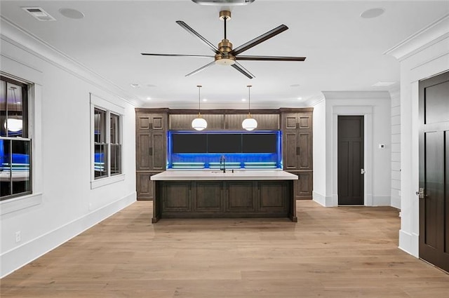 kitchen featuring dark brown cabinetry, ceiling fan, light hardwood / wood-style flooring, and ornamental molding