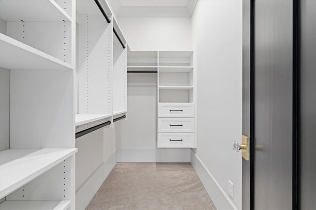 spacious closet featuring light carpet