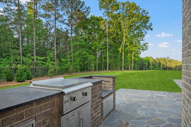 view of patio featuring grilling area and an outdoor kitchen