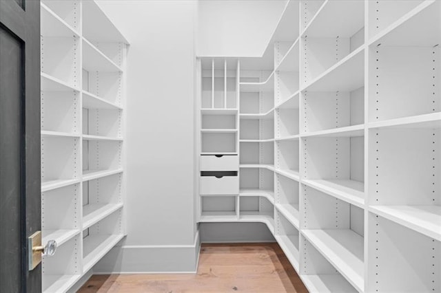 walk in closet with wood-type flooring