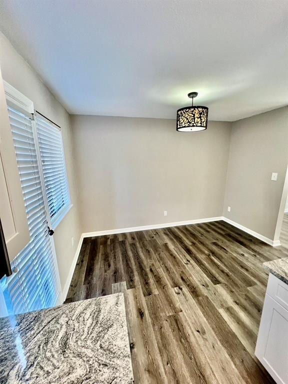 unfurnished dining area with dark hardwood / wood-style flooring