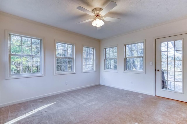 spare room with carpet flooring, a wealth of natural light, and ceiling fan