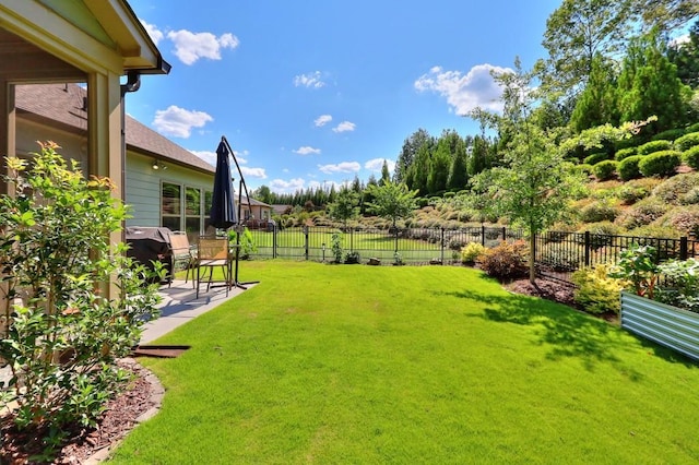 view of yard featuring a patio area and a fenced backyard