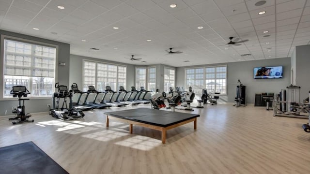 exercise room featuring a paneled ceiling, baseboards, and wood finished floors