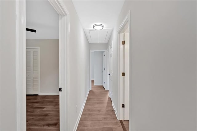4477 Timber Ridge Dr, Douglasville, GA 30135 - corridor with attic access and wood finished floors