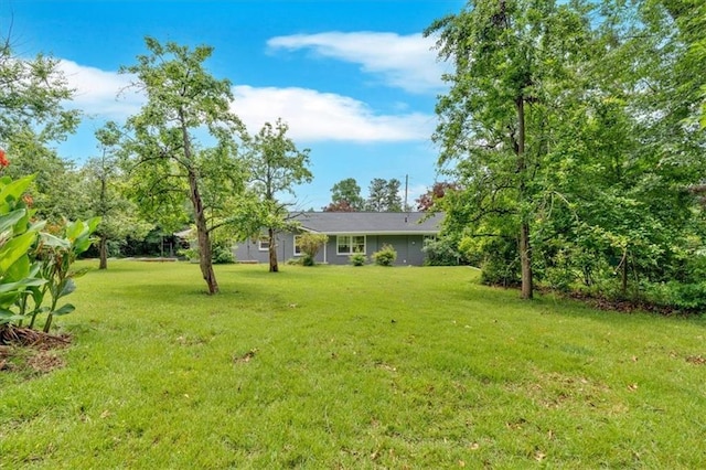 4477 Timber Ridge Dr, Douglasville, GA 30135 - view of green lawn