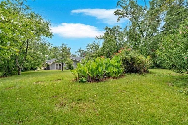 4477 Timber Ridge Dr, Douglasville, GA 30135 - view of green lawn