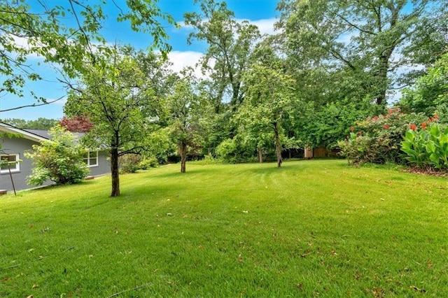 4477 Timber Ridge Dr, Douglasville, GA 30135 - view of grassy yard