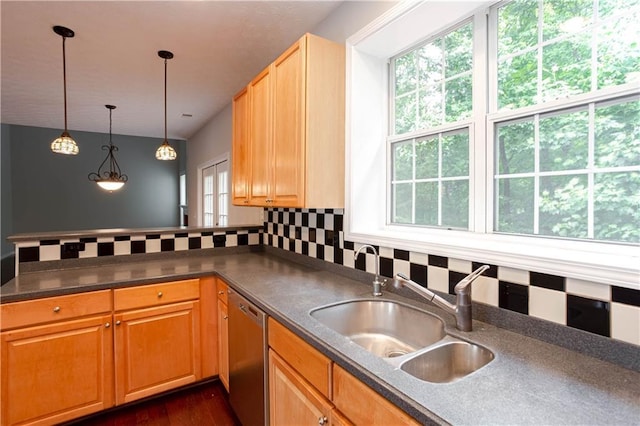 kitchen featuring pendant lighting, stainless steel dishwasher, dark hardwood / wood-style flooring, and a wealth of natural light