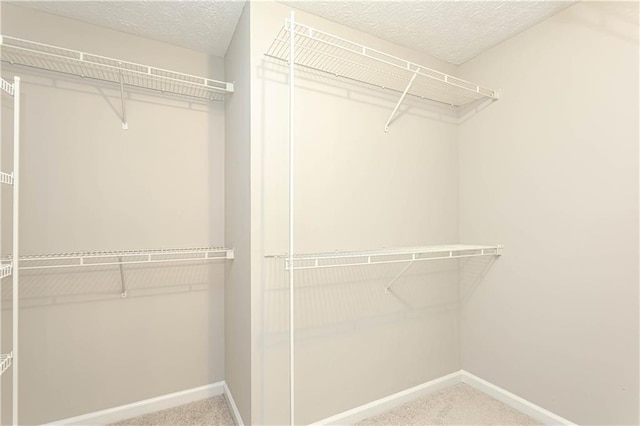 spacious closet with light carpet