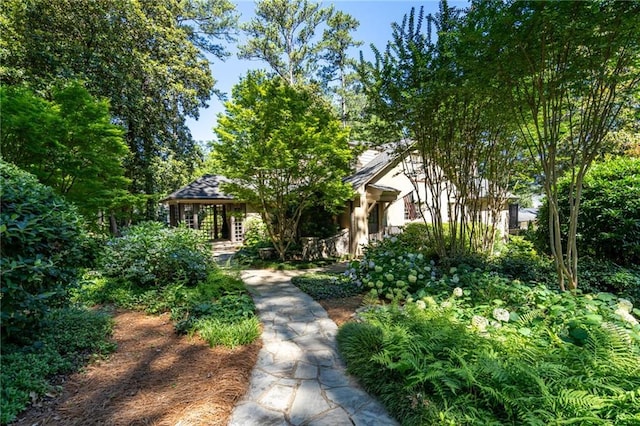 view of property hidden behind natural elements featuring stucco siding