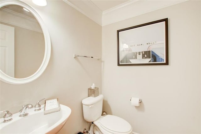 bathroom with sink, crown molding, and toilet