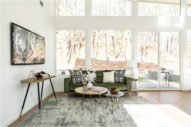 living area with hardwood / wood-style floors and a wealth of natural light