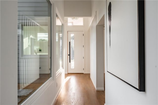 entryway featuring light wood-type flooring and a wealth of natural light