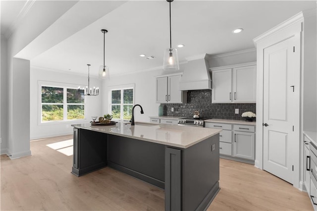 kitchen with light wood-type flooring, sink, premium range hood, and an island with sink