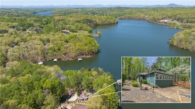 aerial view of a forest and a nearby body of water