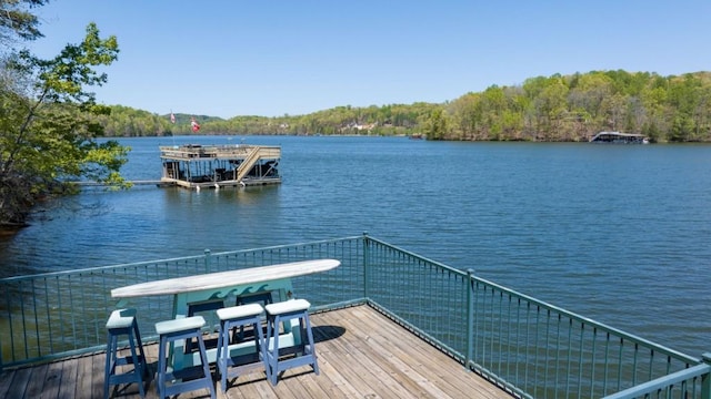 dock featuring a water view