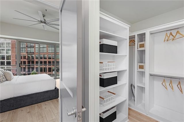 bedroom with light hardwood / wood-style flooring and ceiling fan