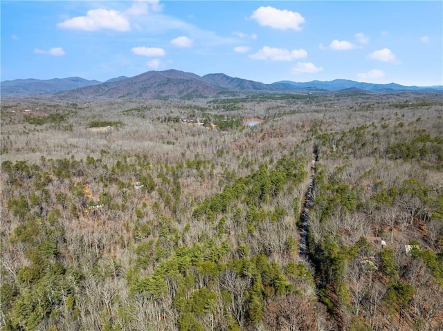 property view of mountains