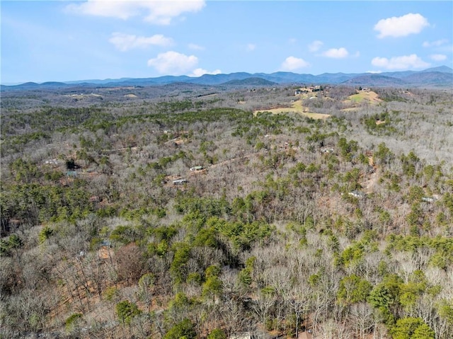 view of mountain feature